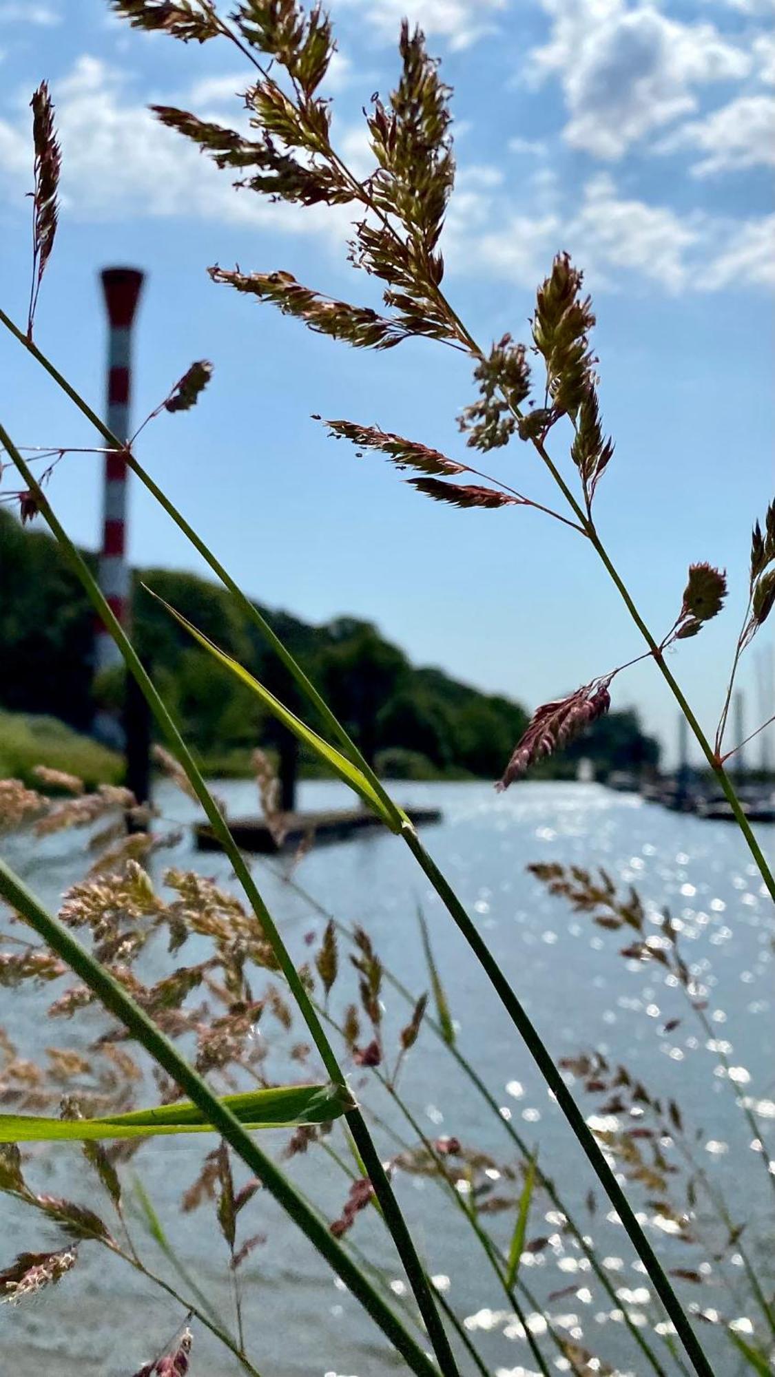 Fischerhaus Blankenese 함브루크 외부 사진