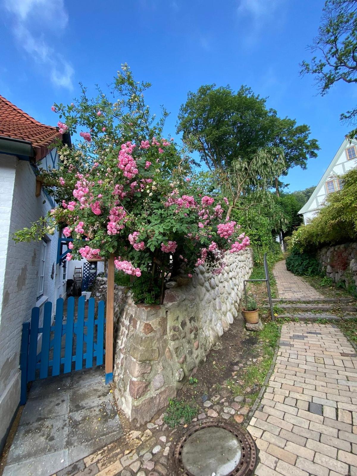 Fischerhaus Blankenese 함브루크 외부 사진